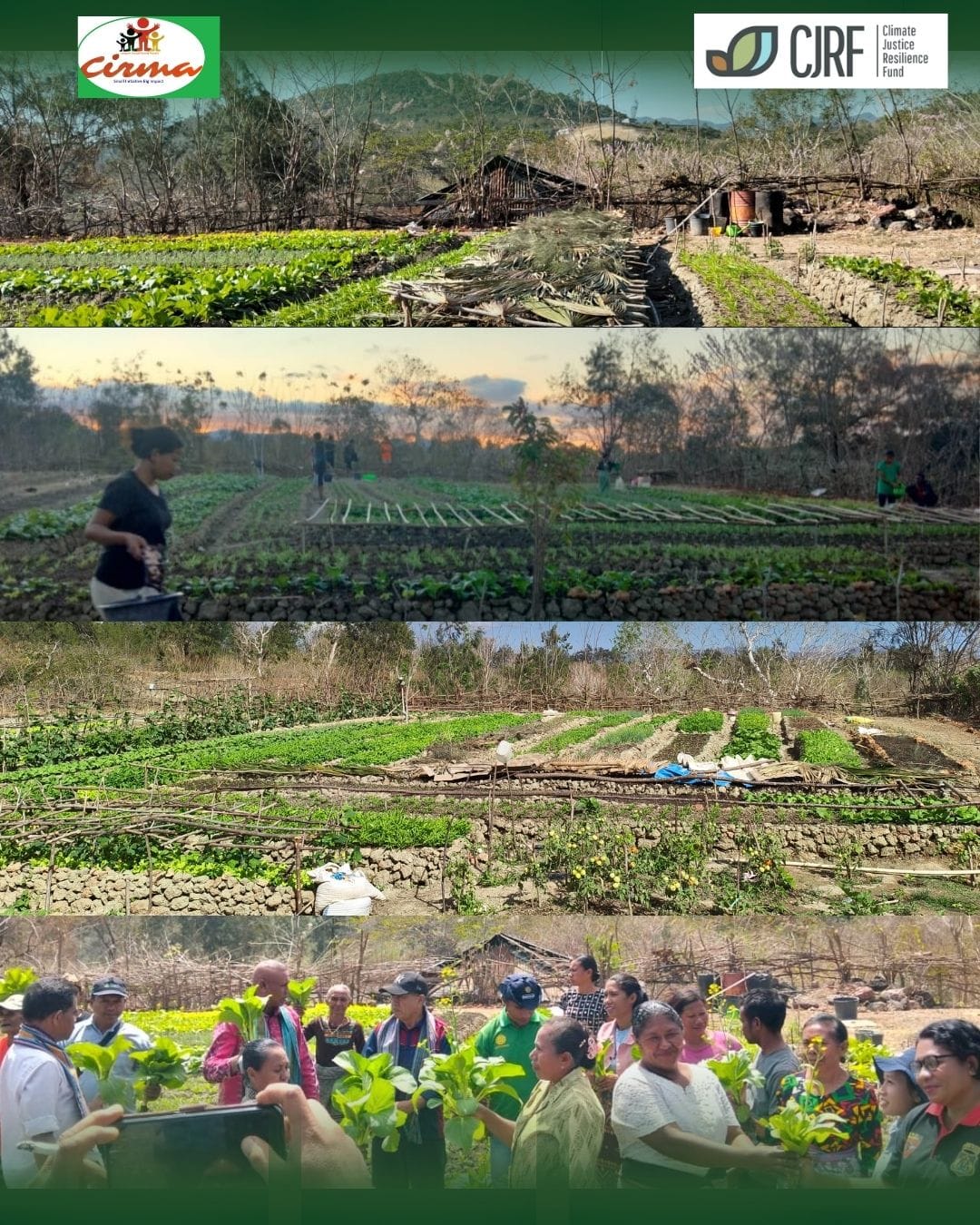 Napan Rises: From Hot Mud to Fields of Life (Part 